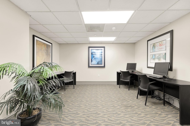 office space featuring carpet flooring and a drop ceiling