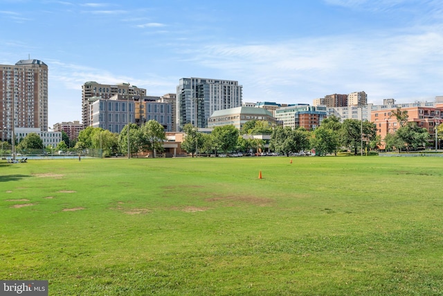 view of community featuring a lawn