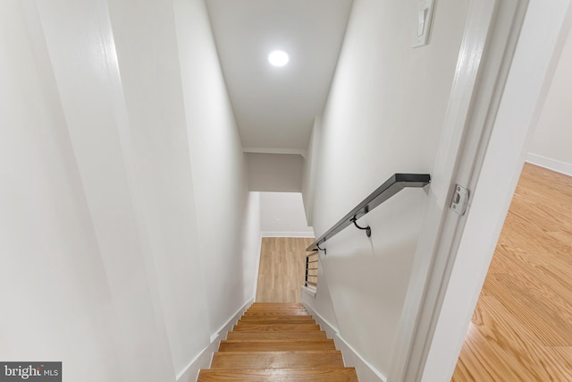 stairs featuring wood-type flooring