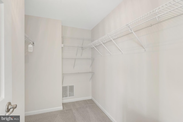 spacious closet featuring carpet