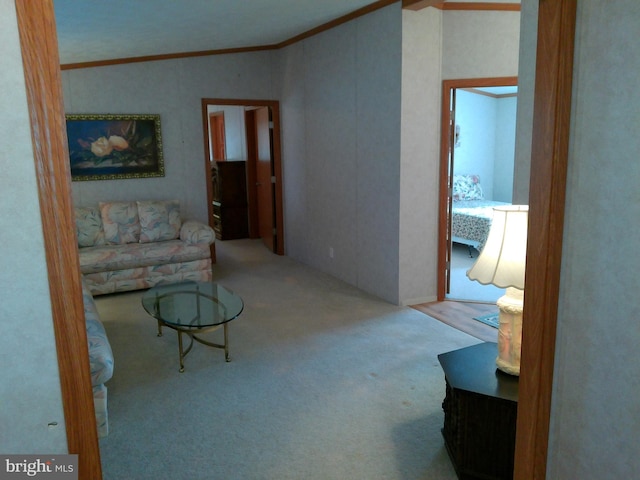 living room with crown molding and carpet floors