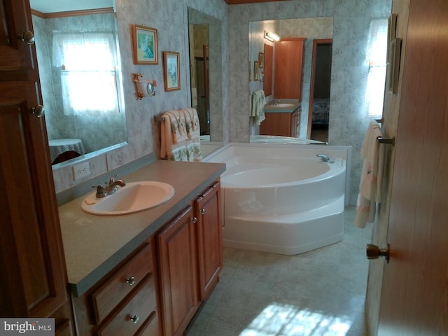 bathroom featuring vanity and a bath