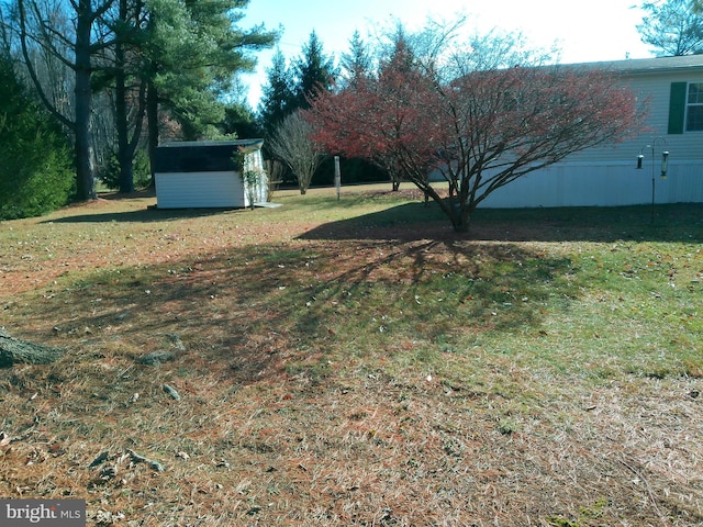 view of yard featuring a shed