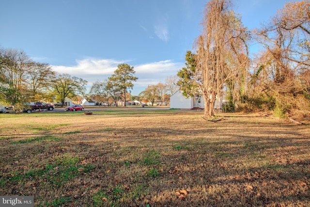 view of yard