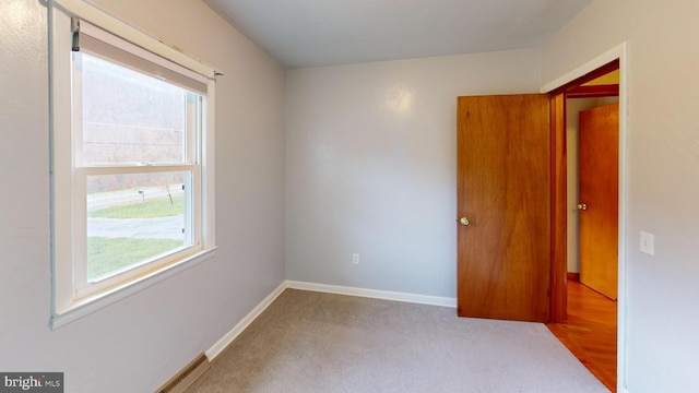 empty room featuring carpet floors and a wealth of natural light