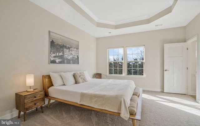 carpeted bedroom featuring a raised ceiling