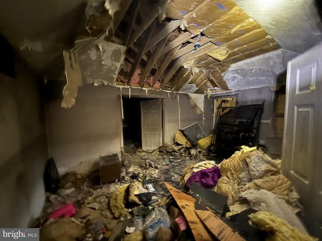 miscellaneous room featuring lofted ceiling