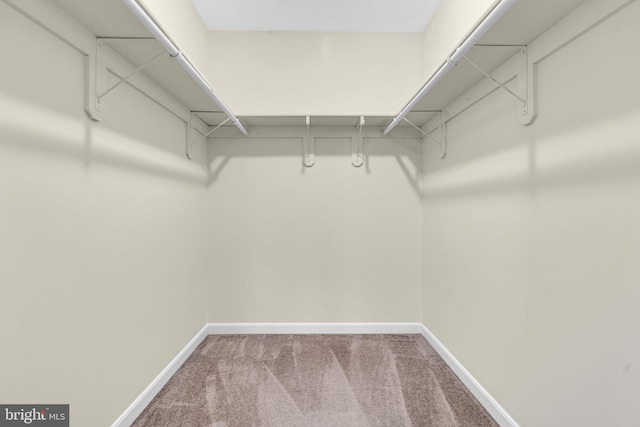 spacious closet with carpet