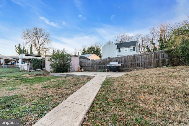 view of yard featuring a patio