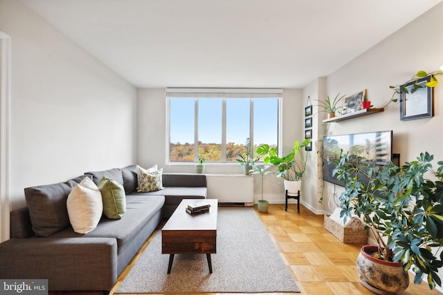 living room with light parquet flooring