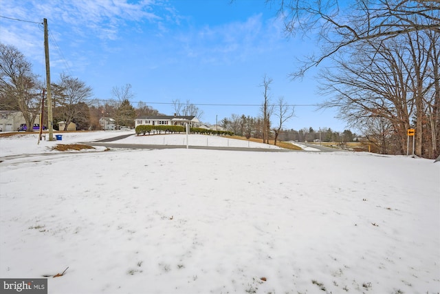 view of snowy yard