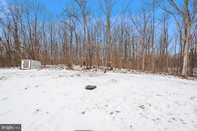 view of snowy yard