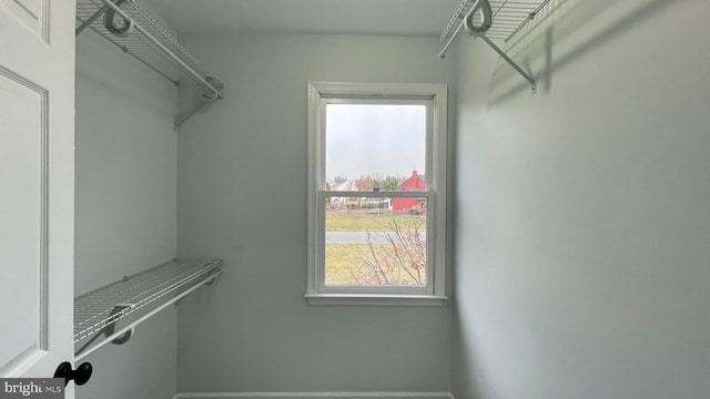 view of spacious closet