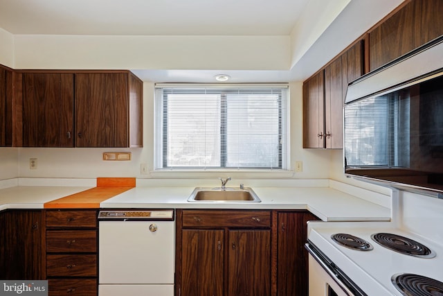 kitchen with dark brown cabinetry, sink, and white appliances