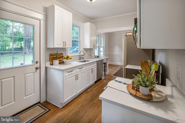 kitchen with stainless steel appliances, white cabinetry, dark wood-type flooring, and sink