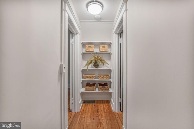 corridor featuring light wood-type flooring and ornamental molding