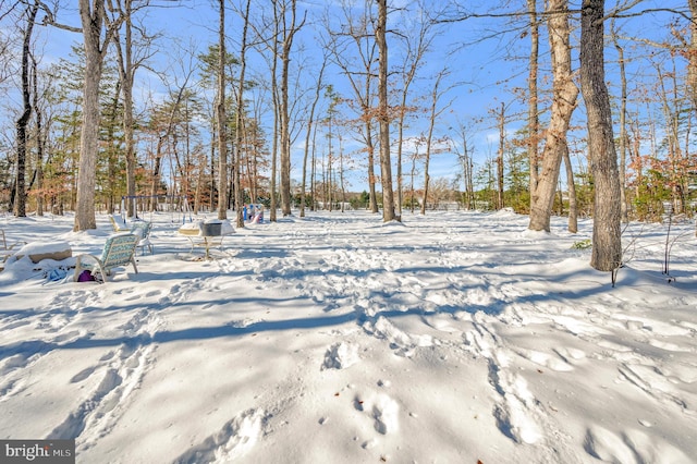 view of yard covered in snow