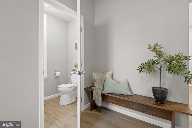 bathroom featuring toilet and hardwood / wood-style flooring