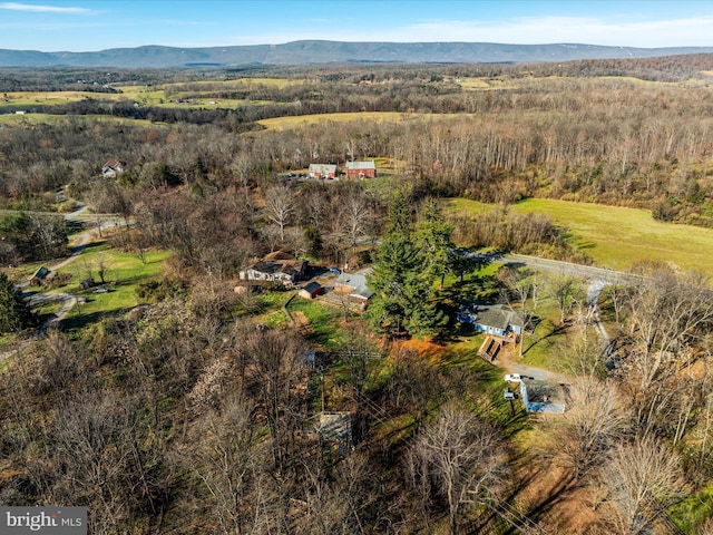 birds eye view of property featuring a mountain view