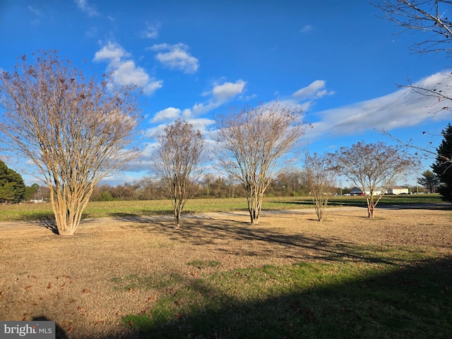 view of yard with a rural view