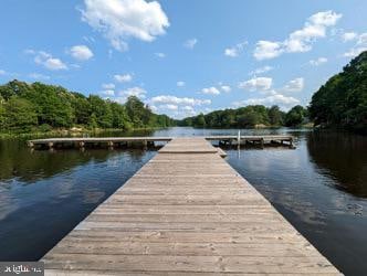 dock area with a water view