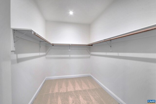 walk in closet with carpet flooring