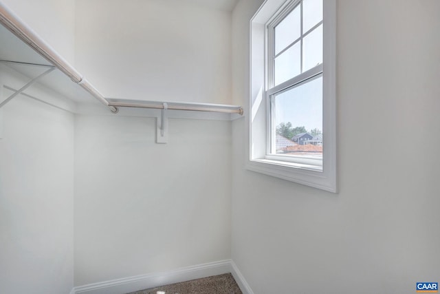 walk in closet with carpet