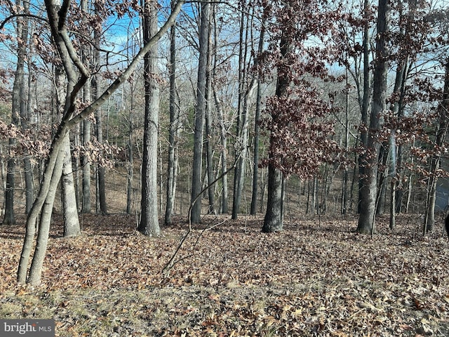 407 Northwood Cir, Cross Junction VA, 22625 land for sale