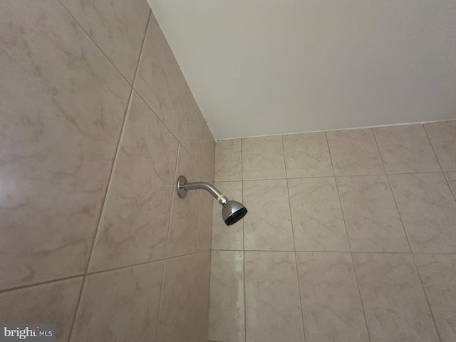 details with tiled shower