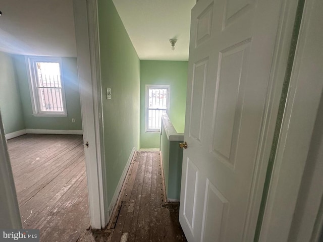 corridor with a healthy amount of sunlight and wood-type flooring