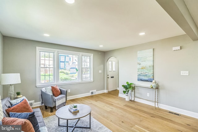 living room featuring light wood-type flooring