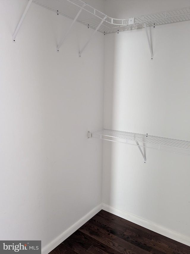 spacious closet featuring dark wood-type flooring