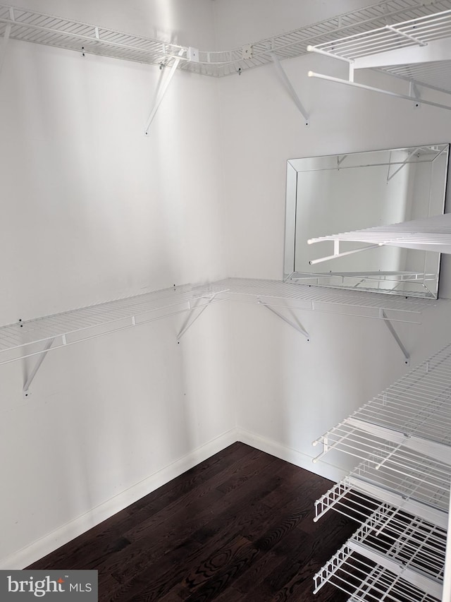 spacious closet featuring wood-type flooring