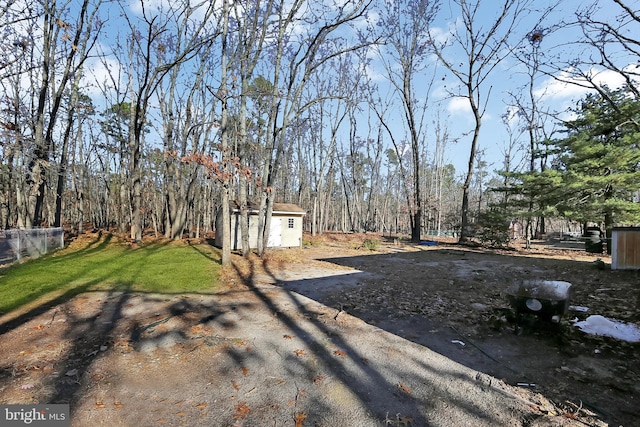 view of yard with a storage shed