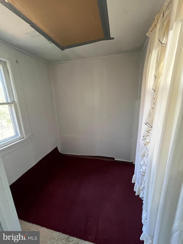 unfurnished room with carpet