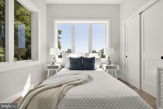 bedroom with hardwood / wood-style flooring, a closet, and multiple windows