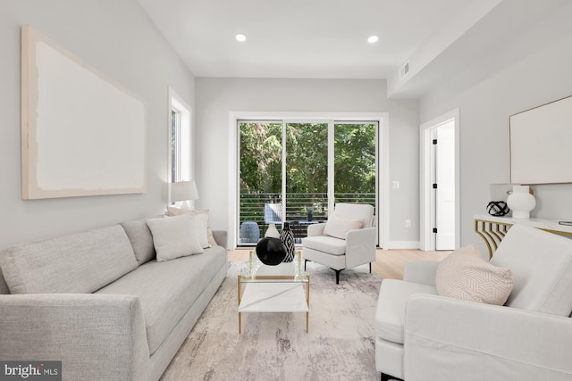 living room featuring light hardwood / wood-style floors