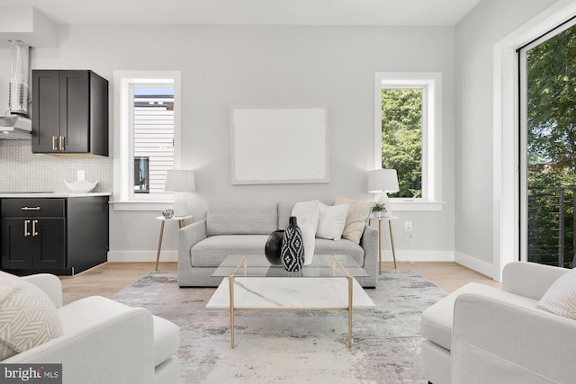 living room featuring light hardwood / wood-style flooring