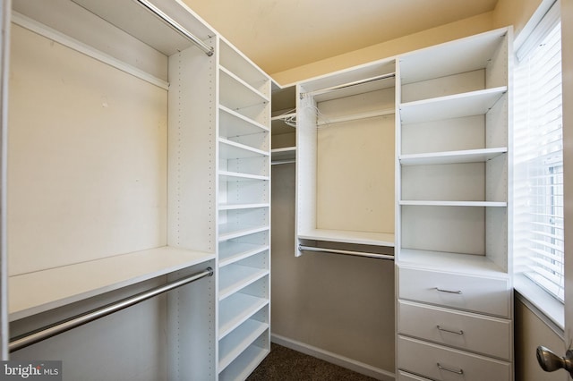 view of spacious closet