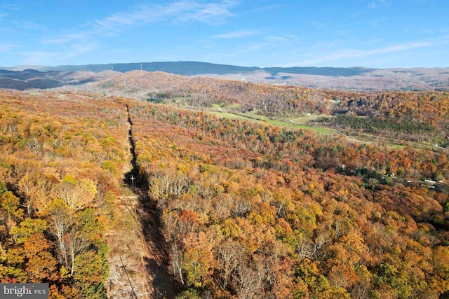 property view of mountains