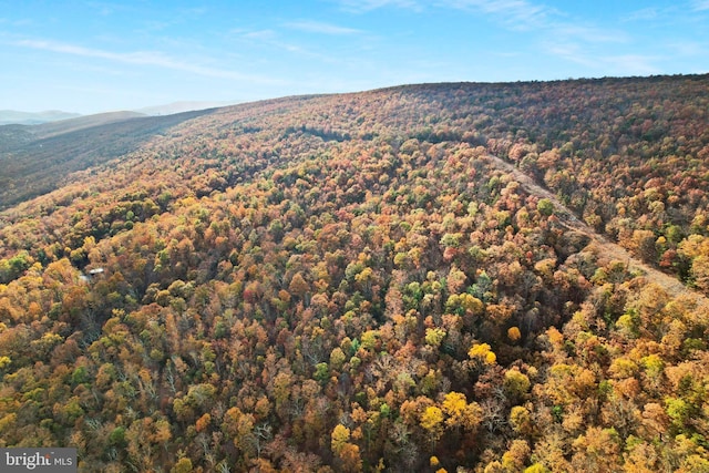 view of mountain feature