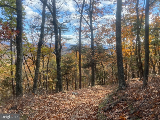 view of local wilderness