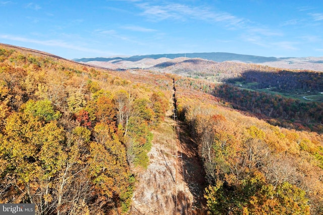 view of mountain feature