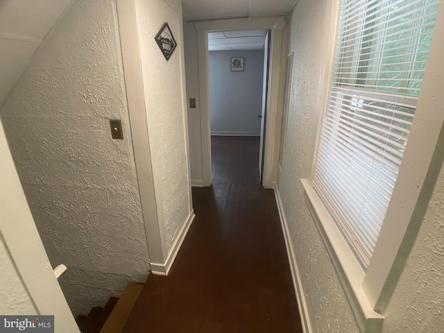 corridor featuring dark hardwood / wood-style floors