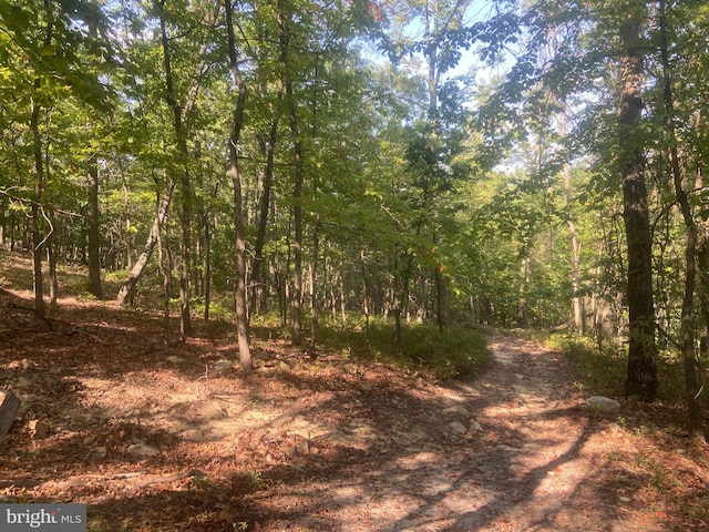 view of local wilderness