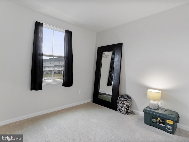 unfurnished room featuring carpet and a wealth of natural light