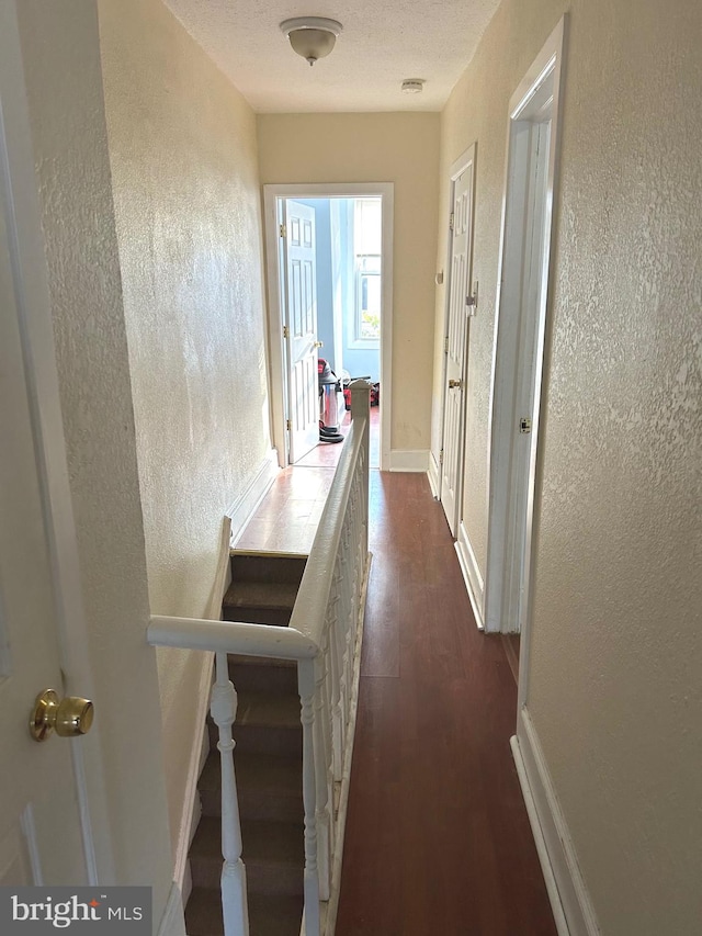 corridor featuring dark hardwood / wood-style floors