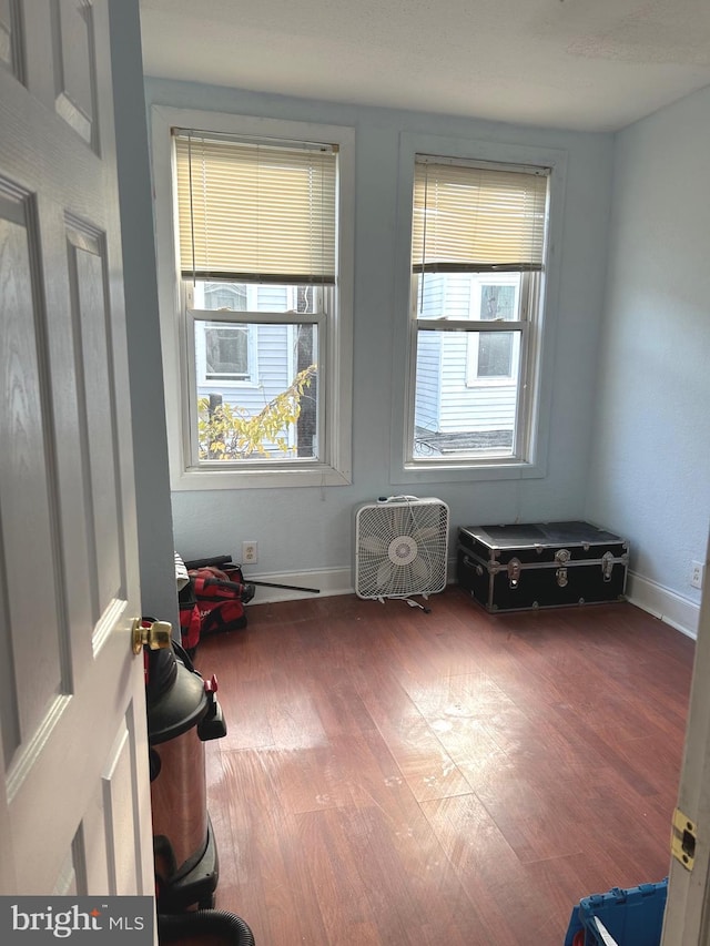 miscellaneous room featuring a wealth of natural light and hardwood / wood-style flooring