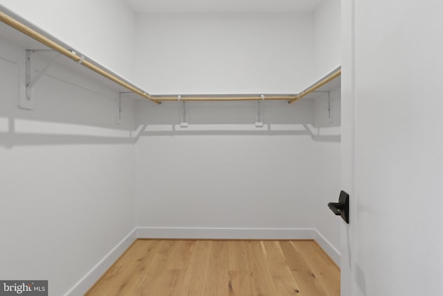 spacious closet with wood-type flooring