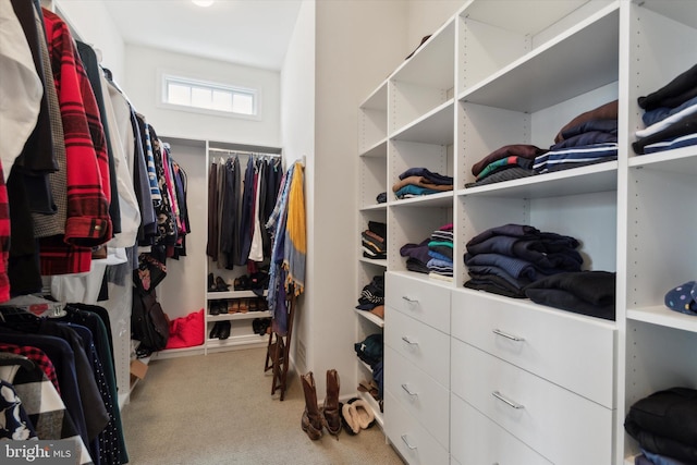 spacious closet with carpet flooring